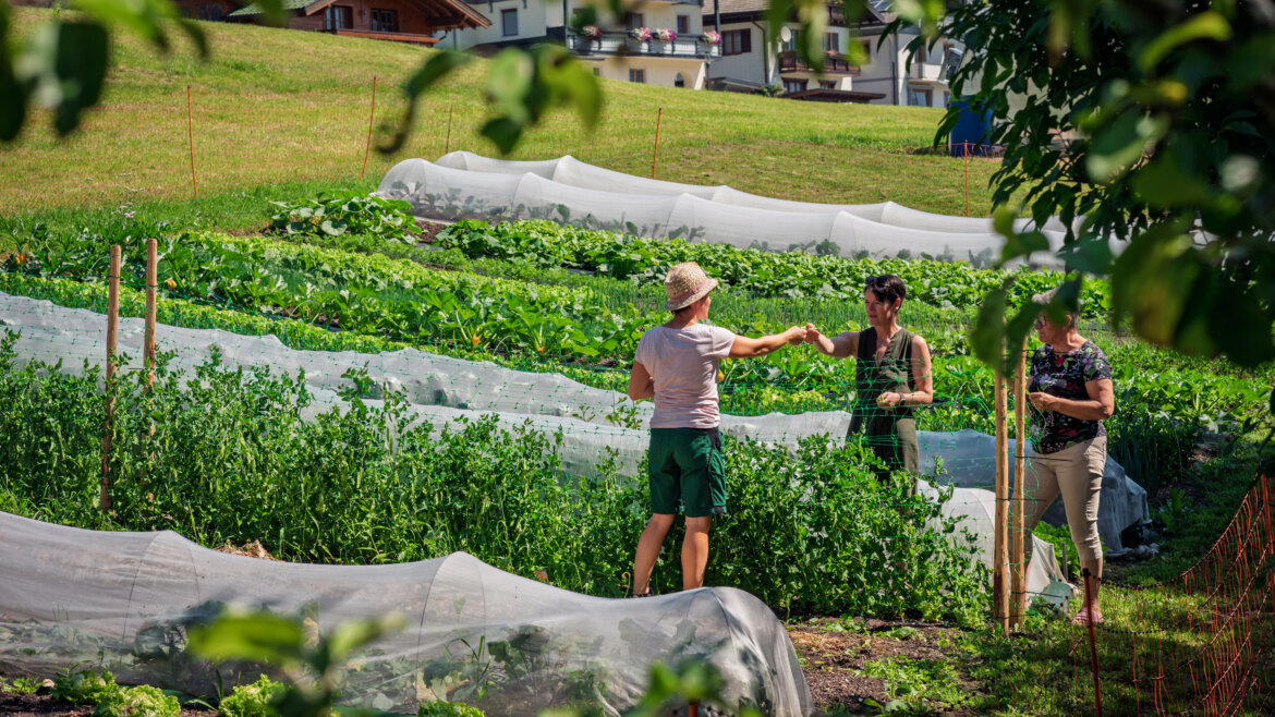 Embacher Kräuter © Daniel Sobietzki (vergrößerte Ansicht)