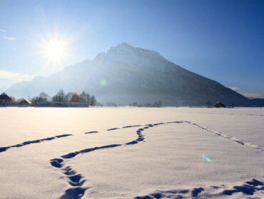 Anif Winter © Alfred Haslinger Fußspuren führen über ein verschneites Feld am Anif hin zu einem großen Berg unter strahlendem Sonnenschein.