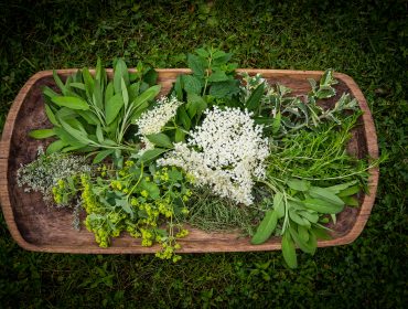 Ein Holztablett mit frischen Kräutern und weißen Blumen auf grünem Gras im Bioparadies Biobauernhof.