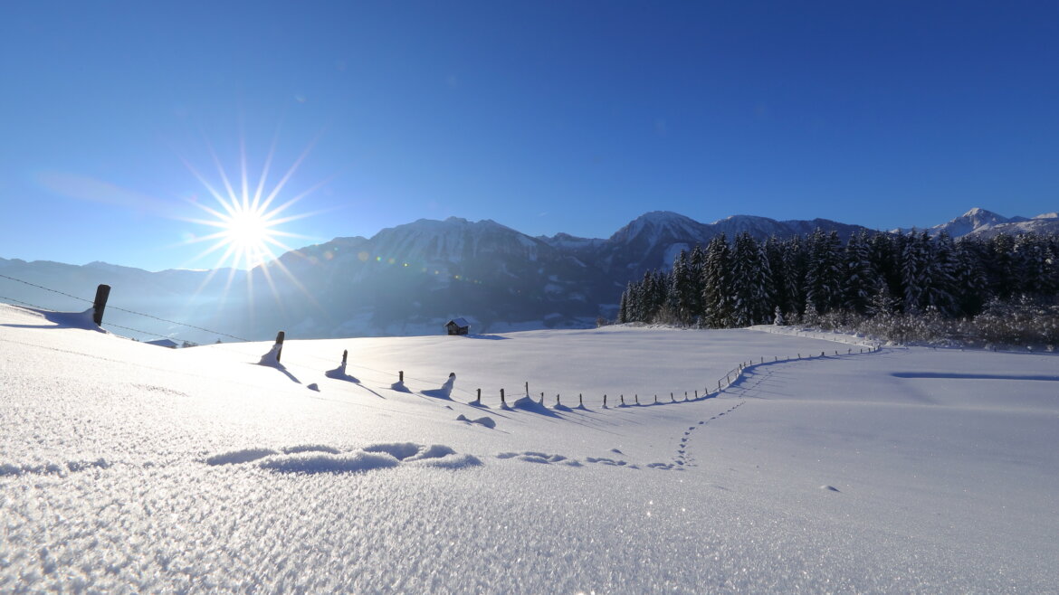 Verschneites Feld mit Fußspuren in St. Veit, die Sonne scheint über Berge und Bäume unter einem klaren blauen Himmel. (vergrößerte Ansicht)