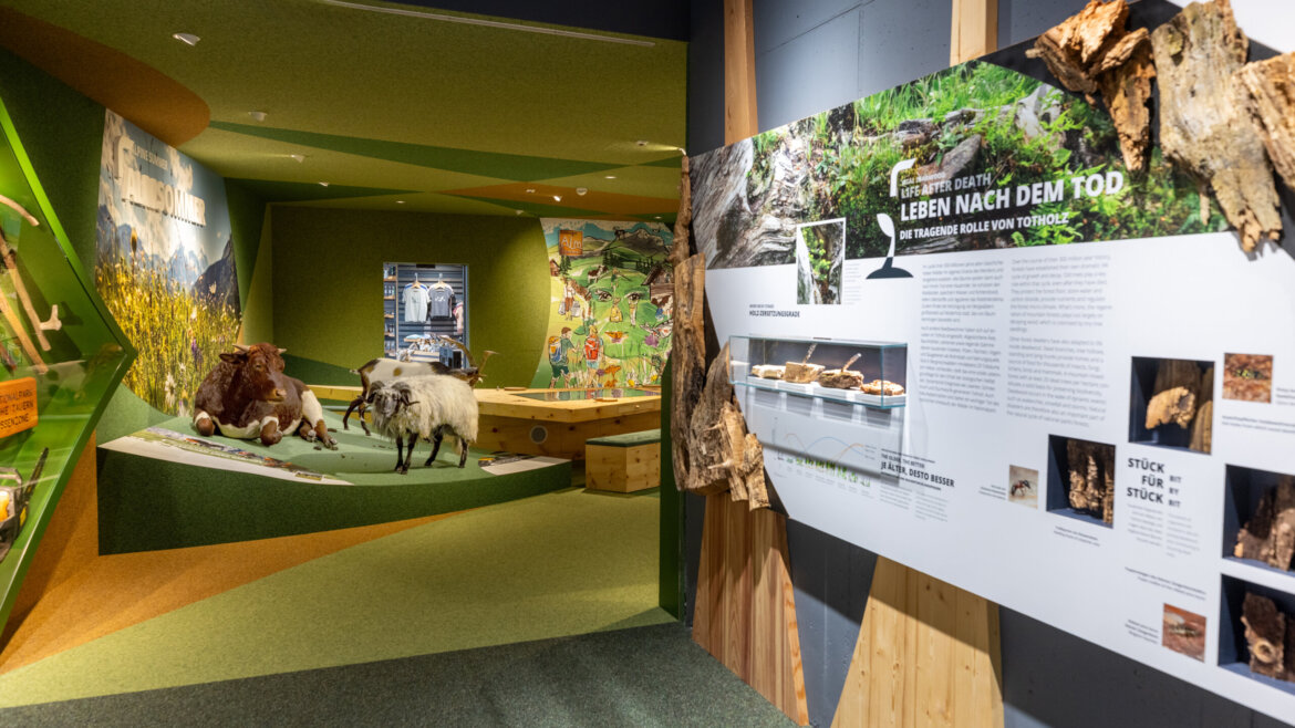 Nationalpark Zentrum Ausenansicht (c) Franz Reifmüller - In der Ferienregion Nationalpark Hohe Tauern gibt es eine Museumsausstellung mit Tiermodellen und grüner Naturdekoration. (vergrößerte Ansicht)