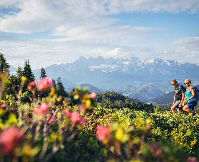 Fageralm Wandern Sonnenuntergang (C)TVB Forstau (3)