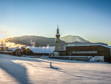 Hallwang im Winter