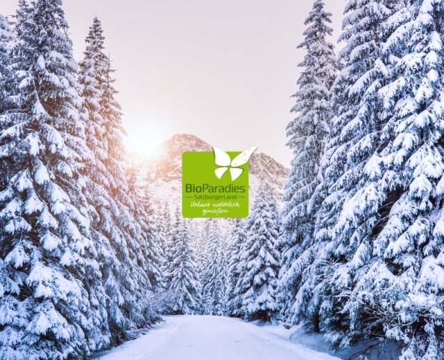 BioParadies im Winter