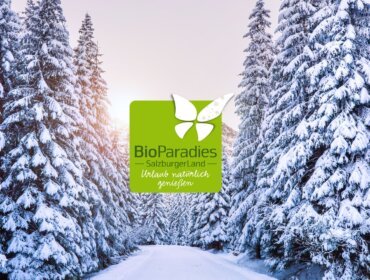 Verschneite Tannenbäume und ein verschneiter Weg bei Sonnenuntergang, in der Mitte das grüne Logo des Bioparadies Biobauernhofs.