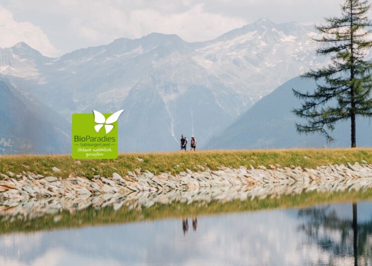 Zwei Personen wandern an einem Bergsee in der Nähe eines Biobauernhofs; Kiefern und Berge erheben sich unter einem bewölkten Himmel.