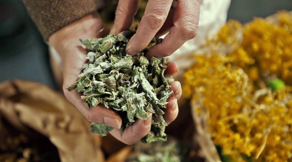 Dried herbs crumbled by hand