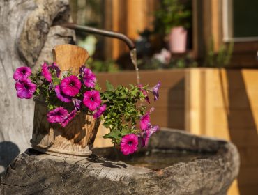 Brunnen am Bauernhof