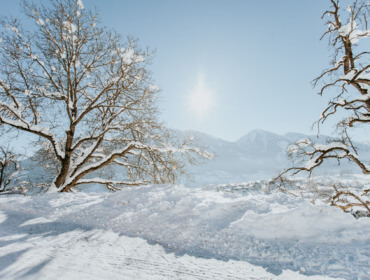 Salzburger Sonnenterrasse, Winter, Schnee