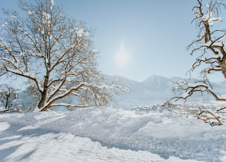 Salzburger Sonnenterrasse, Winter, Schnee