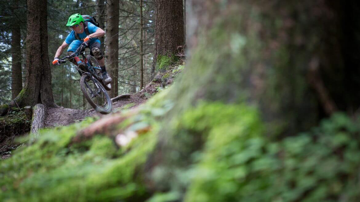 Mountainbiker fährt bergab durch den Wald über Stock und Stein