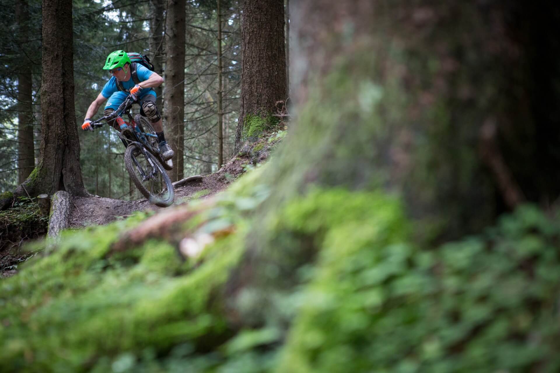 Mountainbiker fährt bergab durch den Wald über Stock und Stein