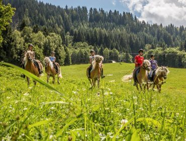 Jugendliche sitzen auf ihren stillstehenden Pferden auf einer grünen Wiese.