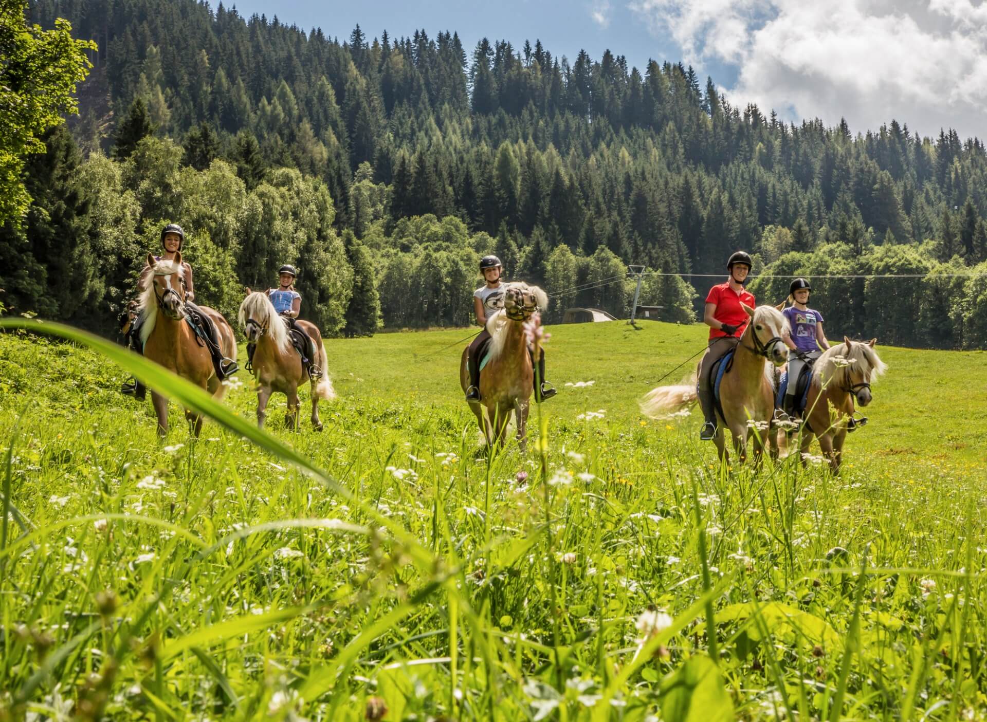 Jugendliche sitzen auf ihren stillstehenden Pferden auf einer grünen Wiese.