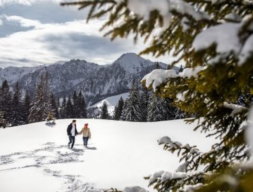 Pärchen in der Landschaft Zwei Personen genießen das Winterwandern und wandern Hand in Hand durch verschneite Berge und Kiefern.