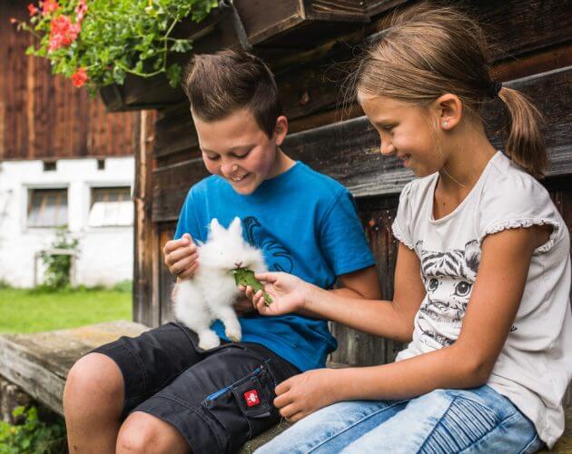 Kinder füttern Hase