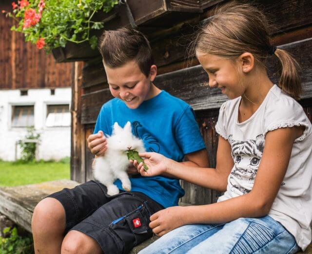 Kinder füttern Hase
