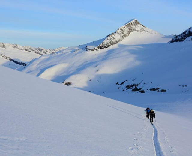 Skitourengeher ziehen eine gerade Spur durch den Tiefschnee des Großvenedigers.