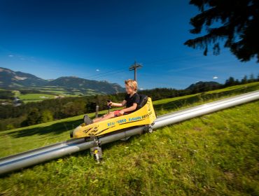 Eine Person fährt mit einem gelben Alpine Coaster in Abtenau bei blauem Himmel und grünen Feldern eine Bergstrecke hinunter.