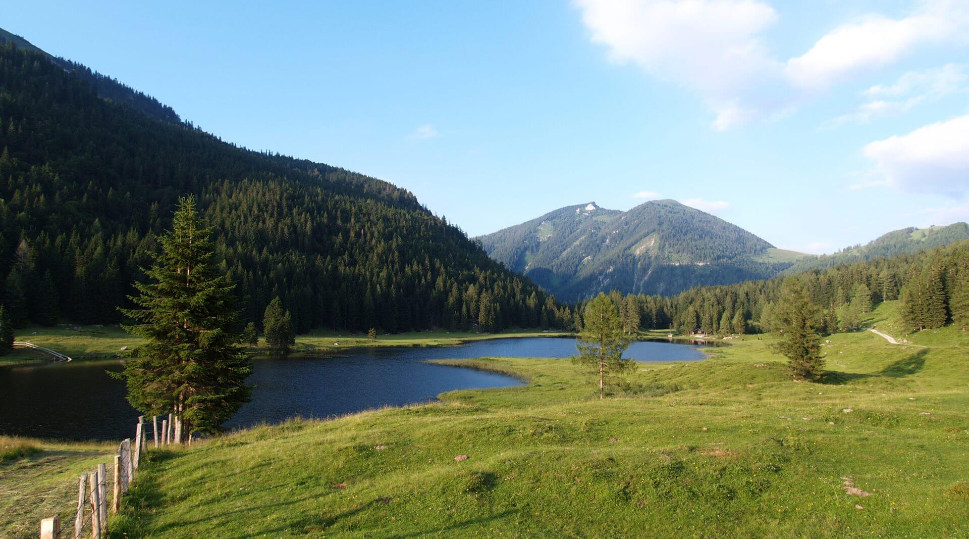 Bergsee umgeben von Weiden und Bergen
