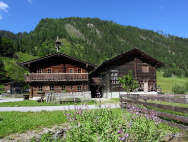 Zwei rustikale Holz-Alpenhäuser in Hüttschlag mit Bergkulisse, Wildblumen und strahlend blauem Himmel.