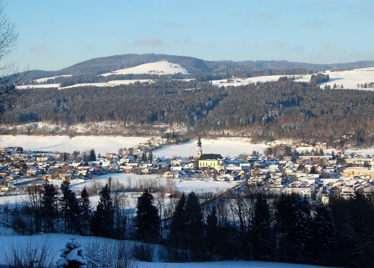 Thalgau im Winter