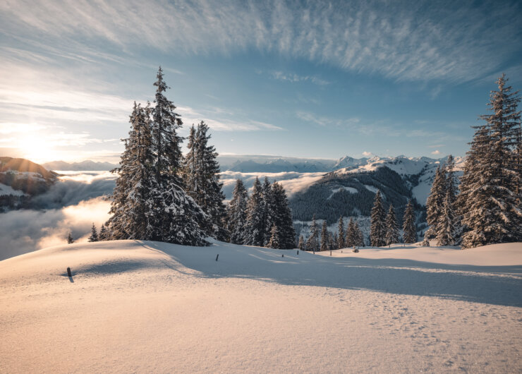Verschneite Winterlandschaft_am_Pass Thurn mit Blick auf Resterkogel und Tauern (c) Ferienregion Nationalpark Hohe Tauern – Mathäus Gartner NPHT Verschneite Winterlandschaft mitBüumen und Bergen im Hintergrund im Abendlicht