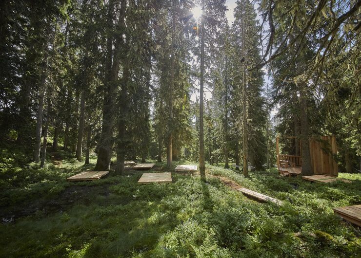 Waldwellness Yoga Plattformen (c) saalbach.com, Daniel Roos