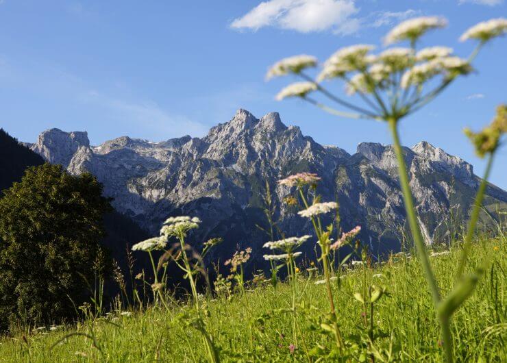 Schroffe Berge und sanfte Almwiesen