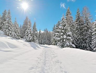 Winterlandschaft in der Region Fuschlsee