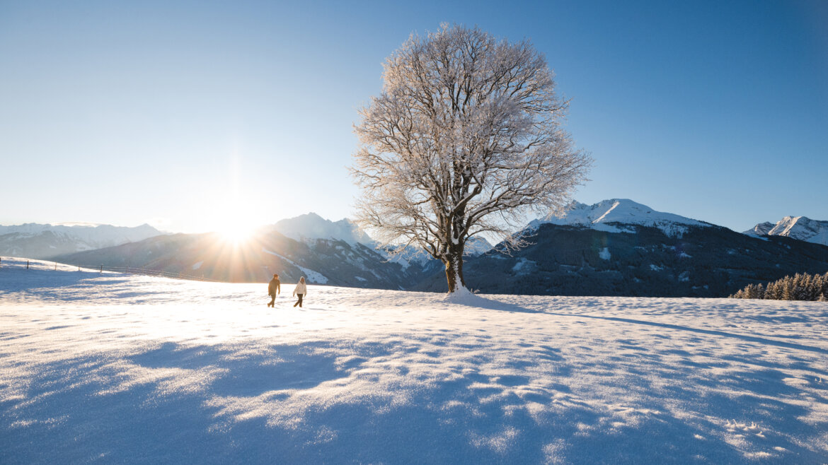 Winterwandern (c) Ferienregion Nationalpark Hohe Tauern - Mathäus Gartner Zwei Winterwanderer neben verschneiten Laubbaum (vergrößerte Ansicht)