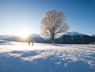 Zwei Winterwanderer neben verschneiten Laubbaum