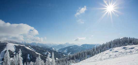 LIVECAMS LIVEBILDER visual data 4