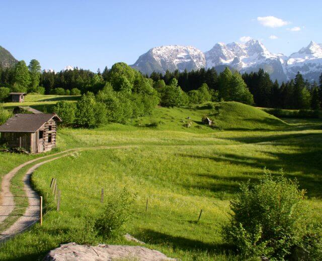 Schmaler Wiesenweg im Sonnenschein