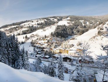 Ortsansicht Viehhofen im Winter.