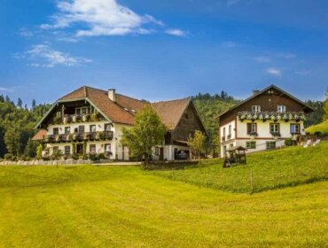 Zwei traditionelle österreichische Bauernhäuser mit Blumenkästen stehen auf einem grünen Hügel unter blauem Himmel mit Bäumen im Hintergrund.