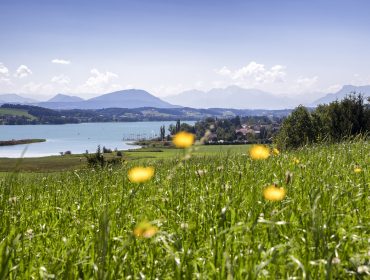 BioParadies_Seeham Ausblick auf die Trumer Seen