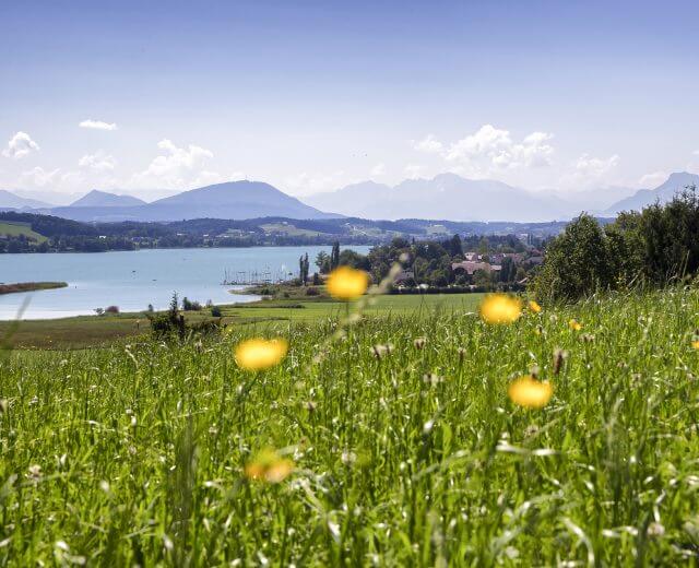 Ausblick auf die Trumer Seen