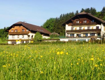 Zwei Häuser im alpinen Stil mit Balkonen hinter einem Feld mit gelben Wildblumen und grünem Gras, mit Bäumen im Hintergrund.