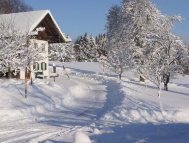 Ein verschneiter Weg führt zu einem Haus mit Bäumen und einem Wald im Hintergrund unter einem klaren blauen Himmel.