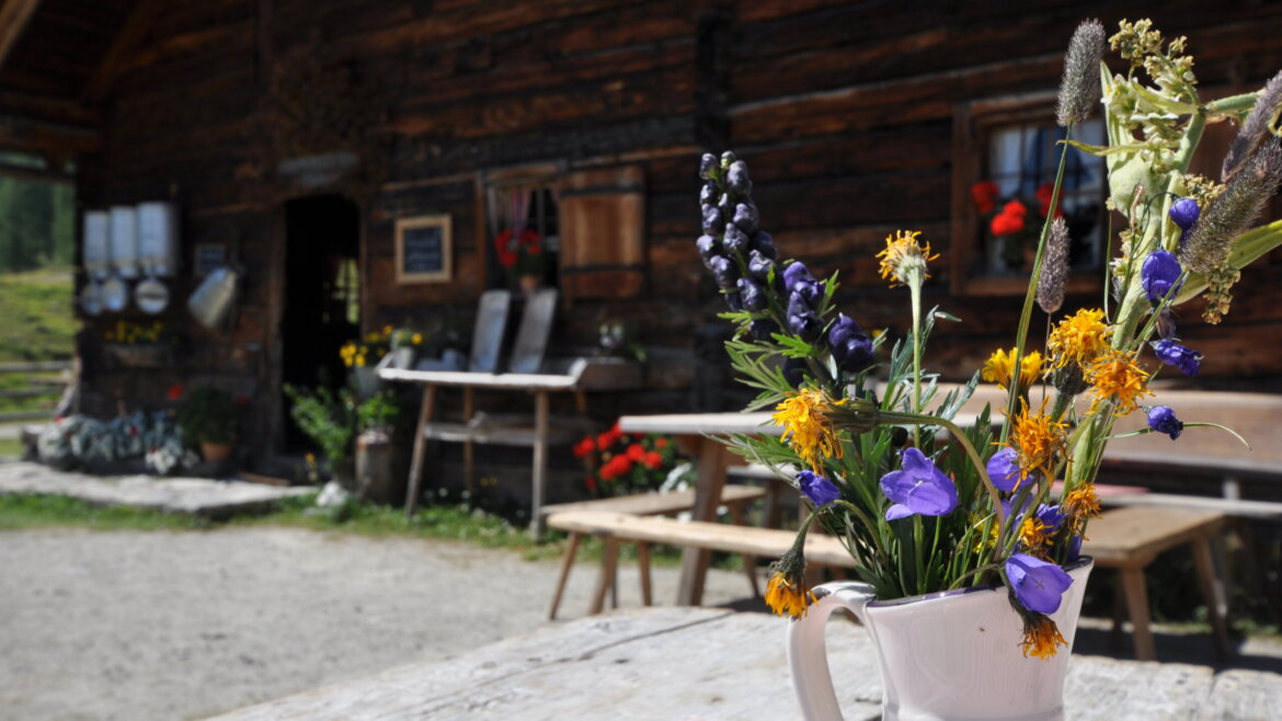 Ein weißer Krug mit Wildblumen vor Tauernkarleitenalm schmückt einen Holztisch bei der Almsommer-Eröffnung an der urigen Hütte. (vergrößerte Ansicht)