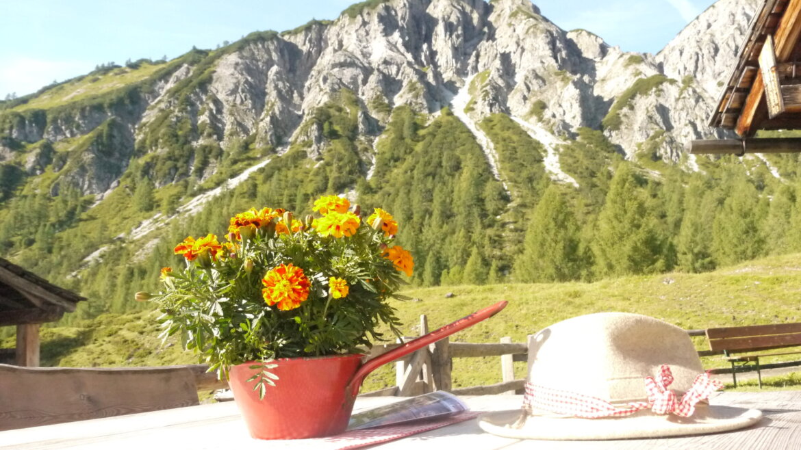 Ein Topf mit orangenen Tagetes n und ein Hut auf einem Tisch bei der Almsommer-Eröffnung, im Hintergrund die Berge. (vergrößerte Ansicht)