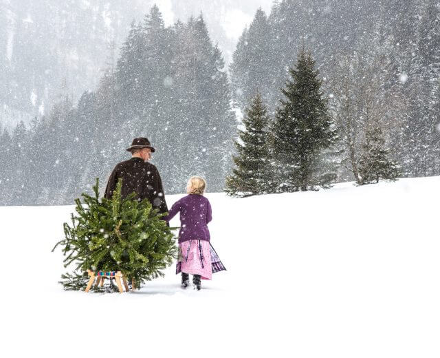 Ein Mann und ein junges Mädchen ziehen einen Weihnachtsbaum durch ein verschneites Feld mit Tannenbäumen im Hintergrund.