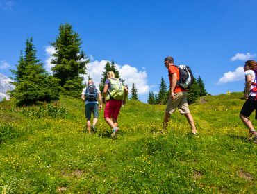 Wandern Region Hochönig (c) Hochkönig Tourismus Vier Personen mit Rucksäcken wandern bergauf auf einem grasbewachsenen, blumenübersäten Weg unter strahlend blauem Himmel.