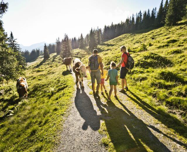 Familie in Saalbach Familie in Saalbach Hinterglemm - Joker Card