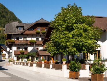 Traditionelle Alpenhäuser mit Holzbalkonen und Blumenkästen, an einer sonnigen Straße unter einem Laubbaum gelegen.