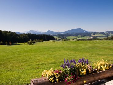 Blumenbeet vor einem grünen Golfplatz mit Bergen und blauem Himmel im Hintergrund.