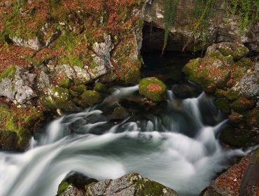 In der Nähe eines felsigen Höhleneingangs fließt das Tennengauer Wasser schnell über moosbewachsene Felsen und Herbstlaub.