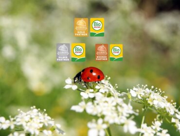 Titelbild Biozertifzierte Betriebe Ein Marienkäfer auf weißen Blüten, darüber die Partnerlogos von Bio Austria in Gold, Silber und Bronze.
