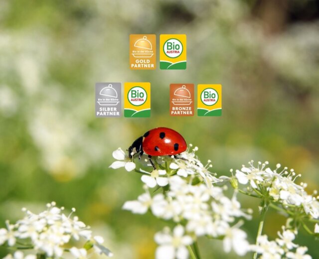 Ein Marienkäfer auf weißen Blüten, darüber die Partnerlogos von Bio Austria in Gold, Silber und Bronze.